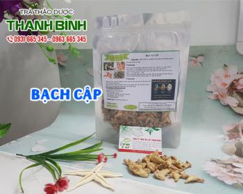 Mua bán bạch cập tại huyện quốc oai giúp cầm máu do chảy máu cam