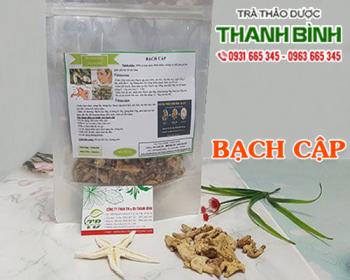 Mua bán bạch cập tại hà giang có tác dụng điều trị chảy máu ngoài da