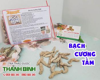 Mua bạch cương tằm ở đâu tại tphcm?