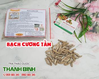 Mua bán bạch cương tằm ở quận phú nhuận giúp hạ sốt giải cảm và trị ho