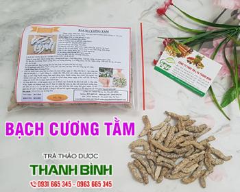 Mua bán bạch cương tằm tại huyện mỹ đức có tác dụng làm đẹp da rất tốt