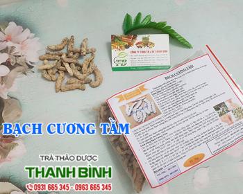Mua bán bạch cương tằm tại vũng tàu giúp giải cảm an toàn nhất