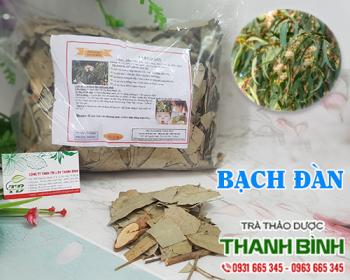 Mua bán bạch đàn tại điện biên giúp phòng ngừa tăng đường huyết rất tốt