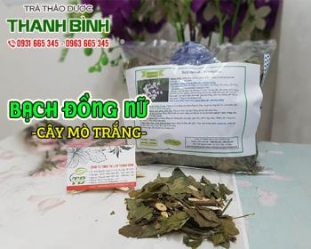 Mua bạch đồng nữ (mò hoa trắng) ở đâu tại tphcm ???