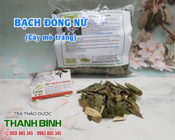 Mua bán bạch đồng nữ ở đâu tại hà nội uy tín chất lượng nhất ?