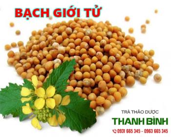 Mua bán bạch giới tử tại quận 4 giúp làm dịu cổ họng và tiêu đờm