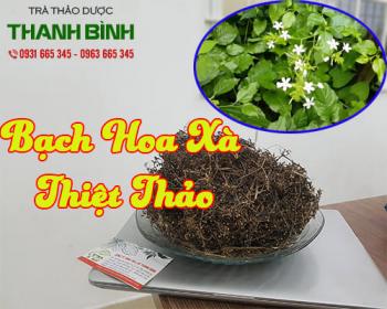 Mua bán bạch hoa xà thiệt thảo tại tphcm uy tín chất lượng tốt nhất