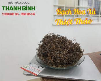 Tác dụng của bạch hoa xà thiệt thảo đối với sức khỏe