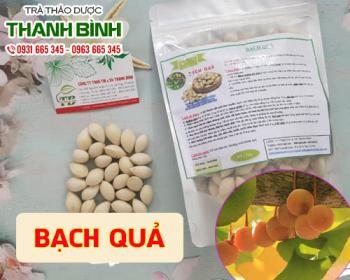 Mua bán bạch quả uy tín chất lượng nhất ở đâu ???