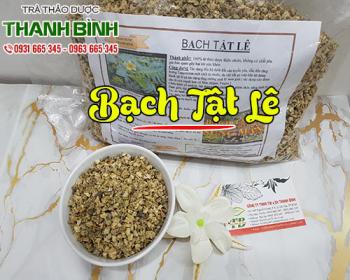 Bạch tật lê giúp tăng cường sinh lý và cải thiện tốt cho thị lực