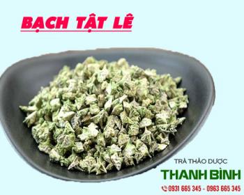 Mua bán bạch tật lê ở quận bình thạnh giúp làm giảm đau bụng kinh