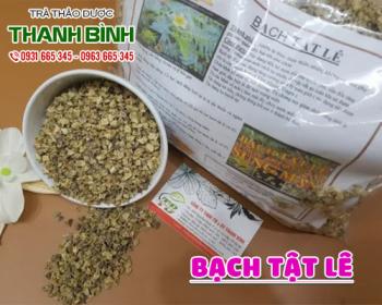 địa điểm bán bạch tật lê tại hà nội điều trị đau mắt và nhức mắt tốt nhất