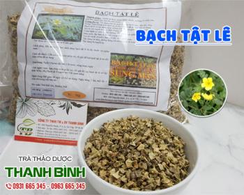 Mua bán bạch tật lê tại quận tây hồ giúp bảo vệ tế bào gan rất hiệu quả