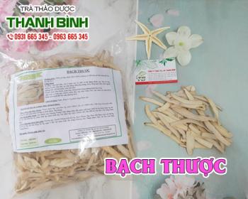 Mua bán bạch thược tại quận 11 giúp bảo vệ niêm mạc dạ dày, trị đau dạ dày
