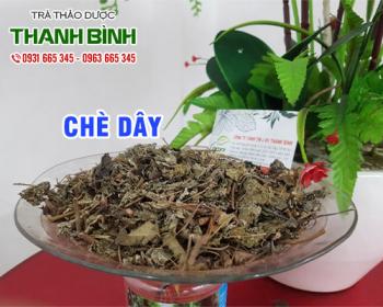 Mua bán chè dây tại quận hà đông có tác dụng thanh nhiệt giải độc