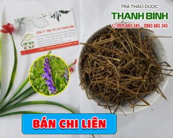 Mua bán bán chi liên tại huyện thường tín hỗ trợ điều tiết hệ miễn dịch