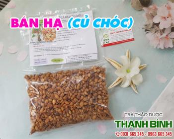 Mua bán bán hạ tại quận 3 có tác dụng điều trị hen suyễn