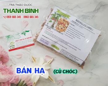 Mua bán bán hạ tại huyện mê linh có thể giúp giải độc khi nhiễm độc