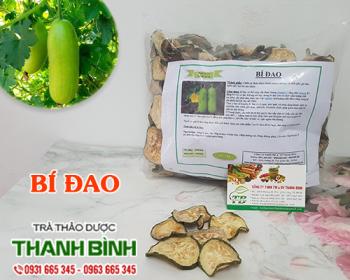 Mua bán bí đao tại hà giang giúp giải độc gan hiệu quả tốt nhất