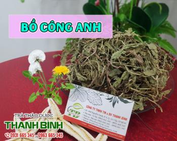 Mua bán bồ công anh tại quận ba đình giúp thanh nhiệt giải độc cơ thể