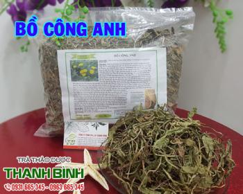 Mua bán bồ công anh ở quận gò vấp điều trị viêm họng và đau dạ dày