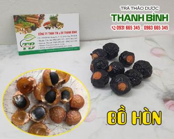 Mua bán bồ hòn tại quận 9 làm dung dịch tẩy rửa sàn nhà và lau kính