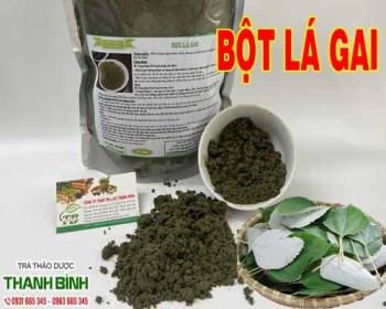 địa chỉ bán bột lá gai nguyên chất giá rẻ uy tín chất lượng nhất