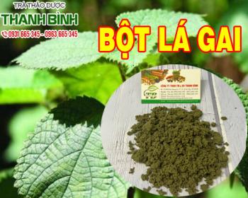 Mua bột lá gai nguyên chất ở đâu tại tphcm ?