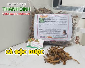 Mua cà độc dược giá rẻ uy tín chất lượng nhất ở đâu?