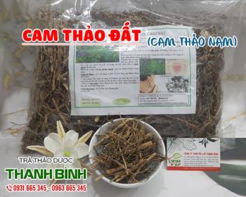Mua bán cam thảo đất tại huyện thạch thất sử dụng điều trị chứng ho hen 