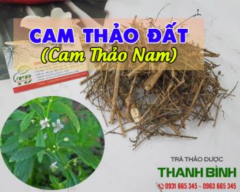 Mua bán cam thảo đất ở quận gò vấp trị dị ứng phát ban và bí tiểu