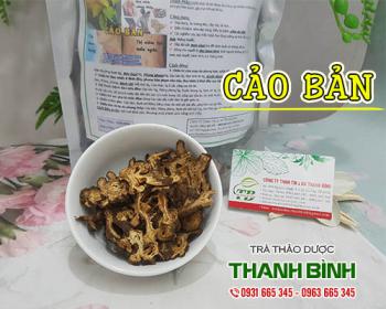 Tác dụng của cảo bản hỗ trợ trị đau nửa đầu và bệnh ngoài da