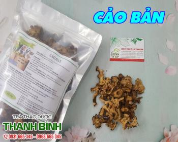 Cách sử dụng cảo bản trong trị đau nhức xương khớp hiệu quả nhất