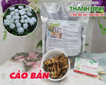 Mua bán cảo bản tại quận 7 sử dụng chữa ung nhọt sưng đau