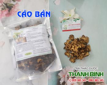 địa điểm bán cảo bản tại hà nội trong chữa đau nửa đầu và gầu tốt nhất