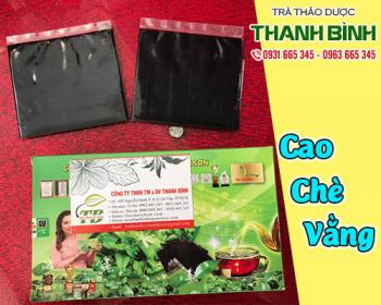 Cao chè vằng có tác dụng gì? uống cao chè vằng bao lâu thì sữa về?