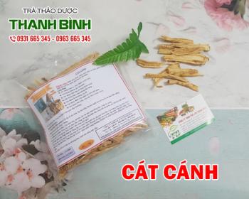 Mua bán cát cánh tại quận 5 hỗ trợ nhuận phế bổ phổi trừ ho rất tốt