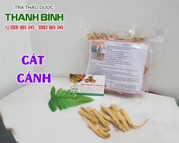Mua bán cát cánh ở huyện bình chánh giúp an thần bồi bổ khí huyết tốt nhất