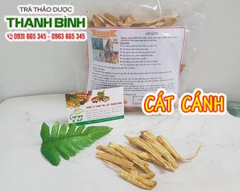 Mua cát cánh ở đâu tại tphcm?