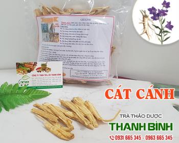 Mua bán cát cánh tại hà nội uy tín chất lượng tốt nhất