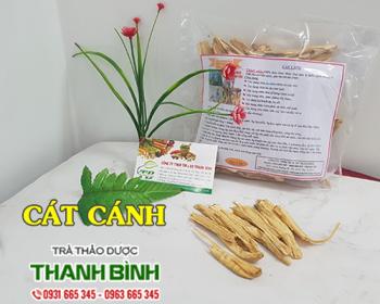 Mua bán cát cánh tại hà tĩnh có tác dụng giảm đau tiêu viêm uy tín nhất