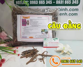 Mua câu đằng ở đâu tại tphcm ???