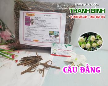 Mua bán câu đằng tại huyện đông anh có tác dụng điều trị sởi tốt nhất