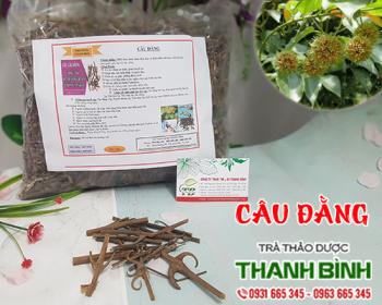Mua bán câu đằng tại hà nam có tác dụng điều trị trẻ em bị sởi rất tốt