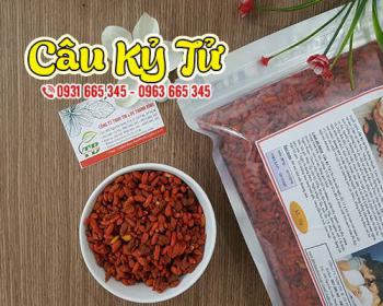 Vị thuốc câu kỷ tử bổ dưỡng giúp tăng cường sức khỏe và tốt cho mắt