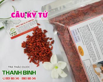 Mua bán câu kỷ tử tại huyện chương mỹ hỗ trợ làm giảm cơn đau đầu 