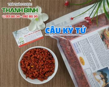 Mua bán câu kỷ tử tại quận hoàng mai hỗ trợ trị mộng tinh và di tinh