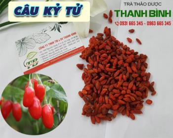 Công dụng của câu kỷ tử trong chữa bệnh tiểu đường hiệu quả nhất