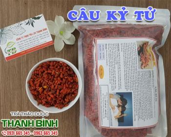 Mua bán câu kỷ tử tại quận 5 tăng cường sức dẻo dai bền bỉ