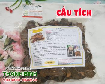 Mua bán cẩu tích ở huyện bình chánh giúp điều trị đau nhức mỏi lưng